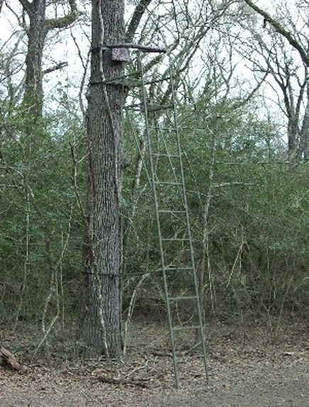 treestand