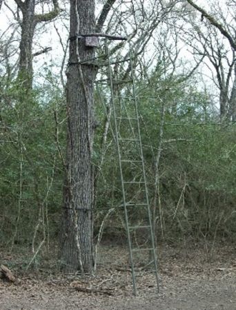 treestand treestand