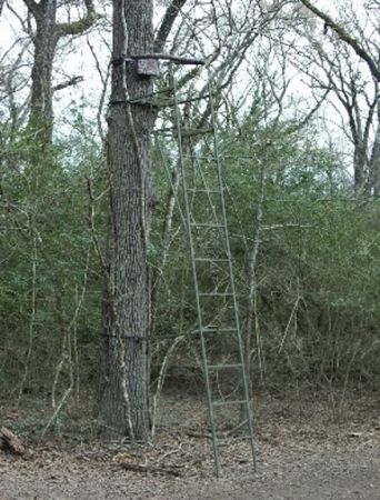 treestand