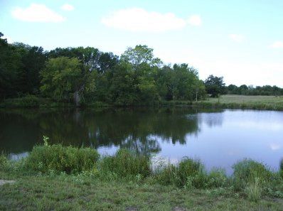 lake lake